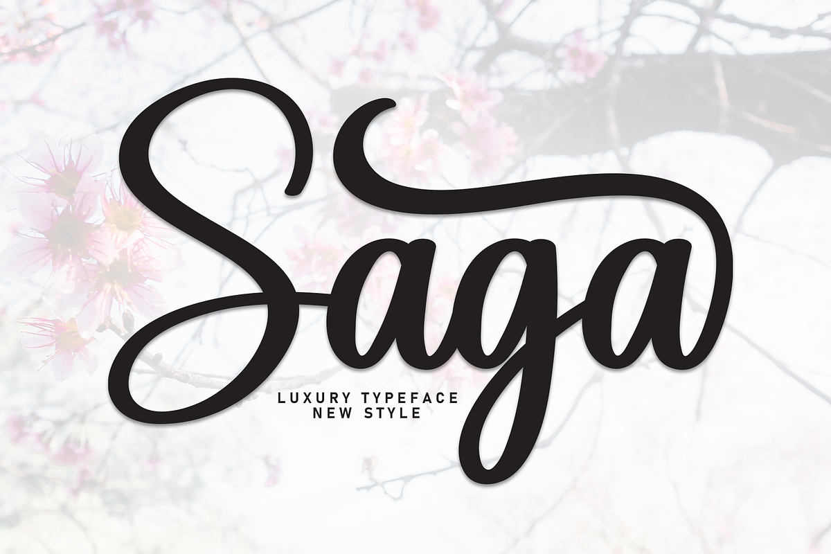 Saga | Script Font, a Handwritten Font by Scratchones (Photo 1 of 9)