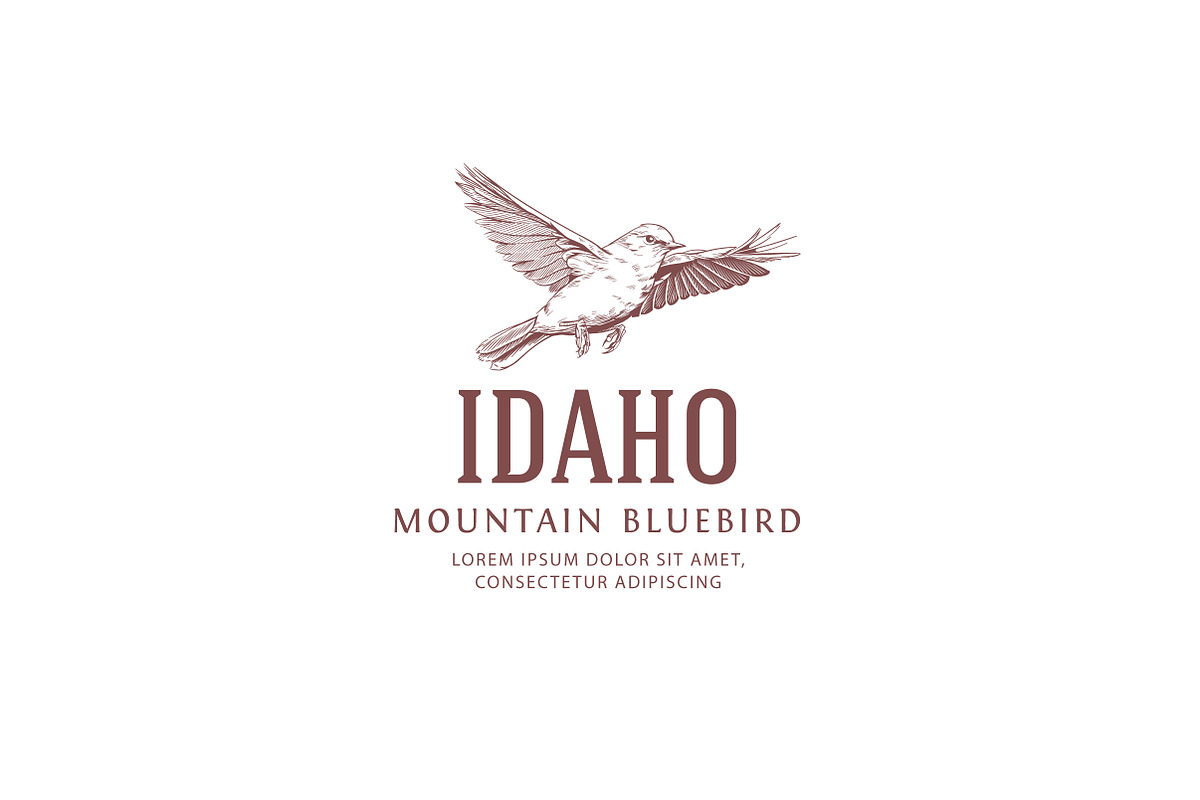 Vintage Bird Logo - Bluebird, a Branding & Logo Template by vatesdesign
