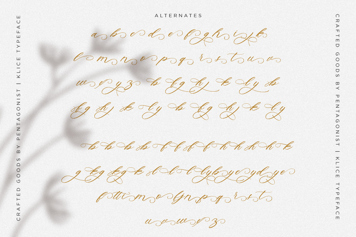 Klice | Elegant Script, a Script Font by Pentagonistudio (Photo 9 of 10)