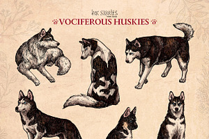 Vociferous Huskies