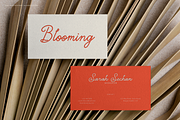 Marylona | Monoline Script font, a Script Font by gracetype_studio (Thumbnail 9 of 12)