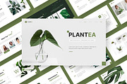 Plantea - Keynote Templates, a Presentation Template by Deepslide Studio (Thumbnail 3 of 5)