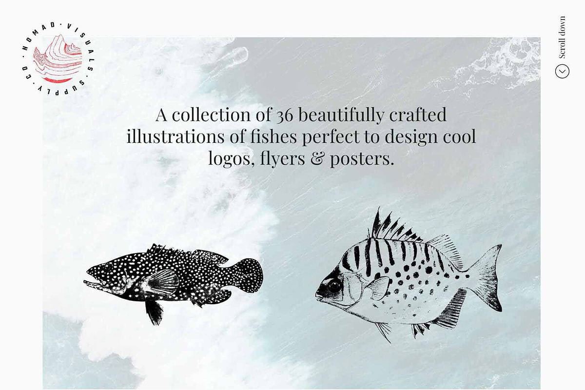 Vintage Bundle - 6600+ Illustrations, an Object Graphic by Nomad Visuals (Photo 23 of 46)