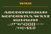 John Muir Sans – National Park Font, a Sans Serif Font by Vicarel Studios (Thumbnail 12 of 16)