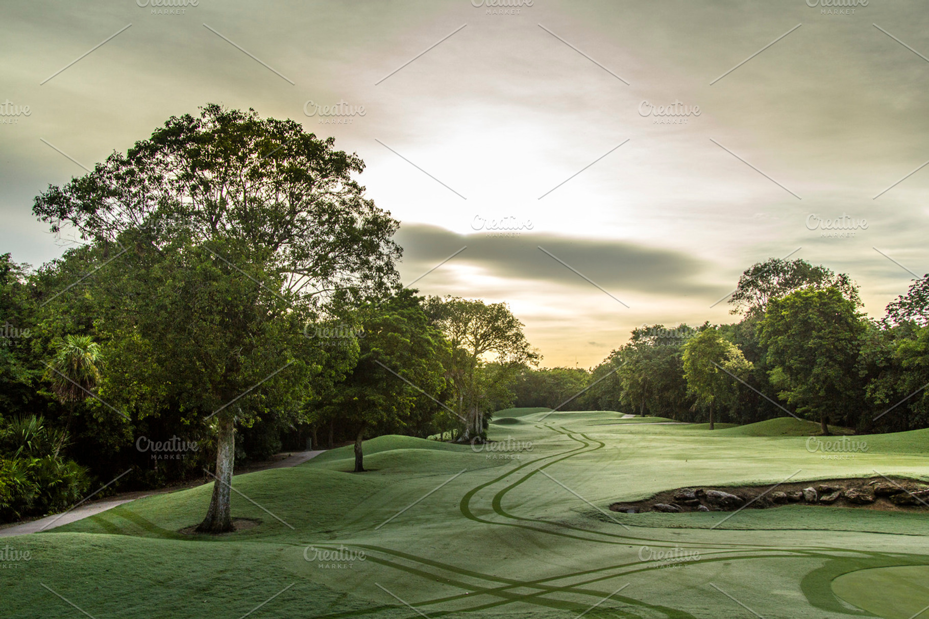 Sepia Morning Landscape