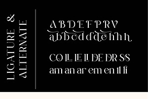 Vilone Serif Font