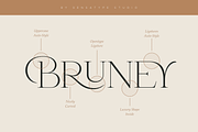 Bruney - Classy Ligature Font, a Serif Font by Sensatype (Thumbnail 4 of 19)