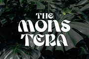 Stone WorldWide Modern Retro, a Serif Font by Muntab_Art (Thumbnail 3 of 10)