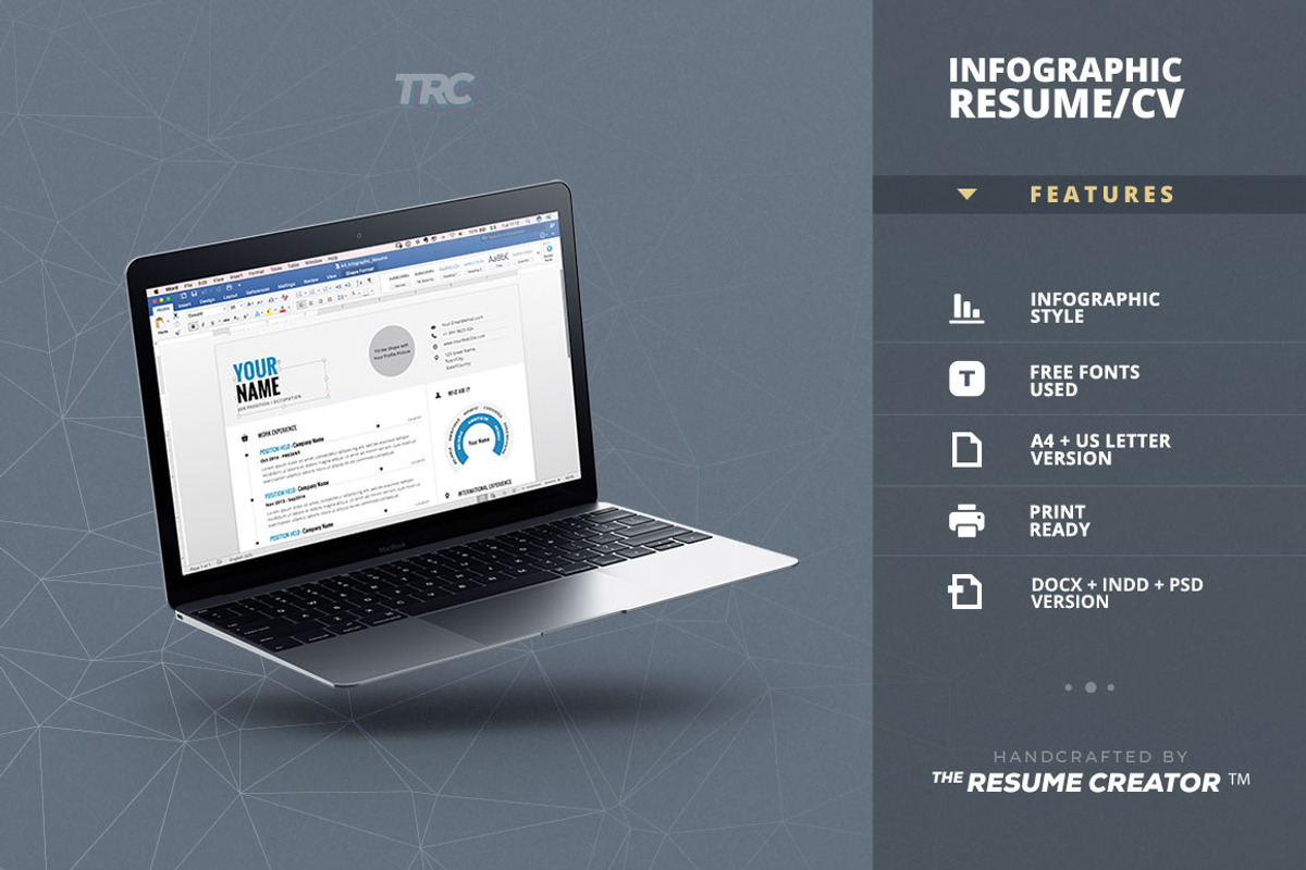 Infographic Resume/Cv Template Vol.1, a Resume Template by TheResumeCreator (Photo 6 of 9)