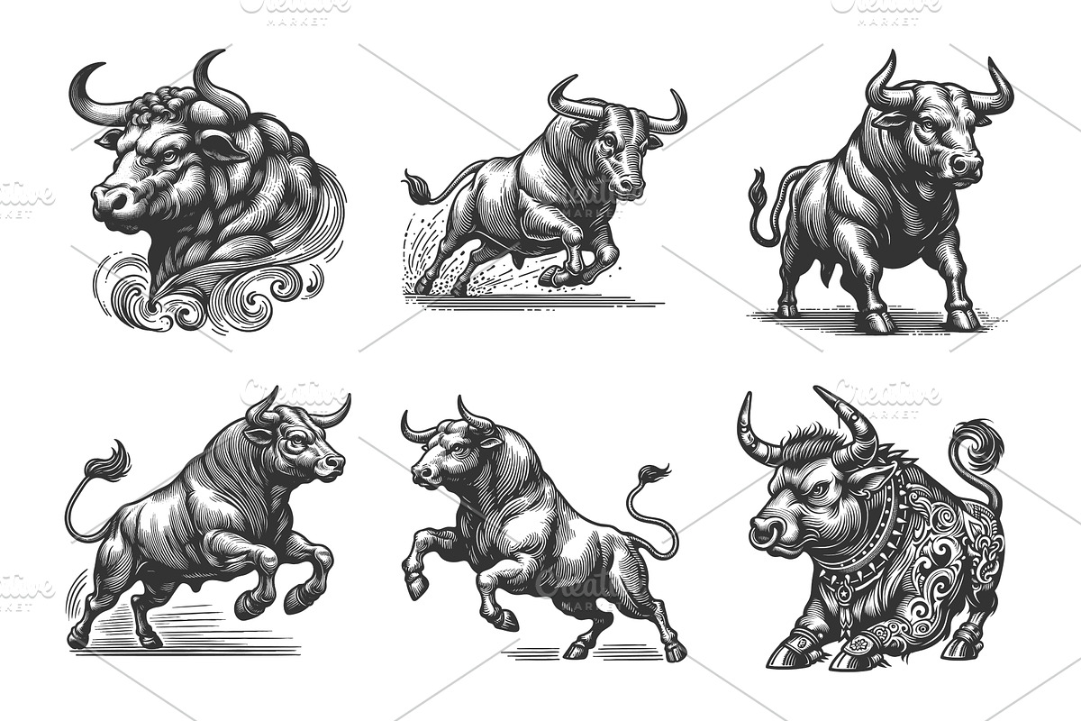 Bull in Dynamic Pose engraving, an Animal Illustration by AlexArt