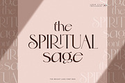 The Bright Lake Font Duo + Logos, a Serif Font by SNIPESCIENTIST (Thumbnail 16 of 31)