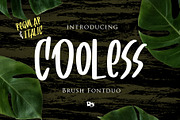 Cooless - Brush Font Duo, a Font by Dm Studio (Thumbnail 1 of 5)