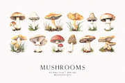 Watercolor Mushrooms, a Food Illustration by PeDe Designs (Thumbnail 2 of 6)