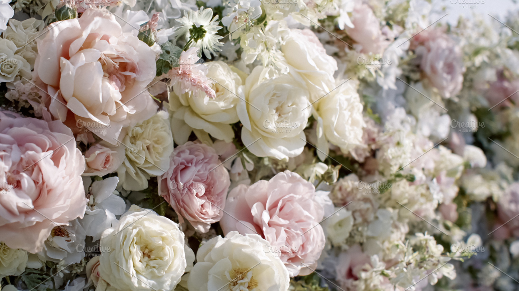 Country cottage garden with pathway, seasonal flowers, manicured, a Nature Photo by Studio ANNA