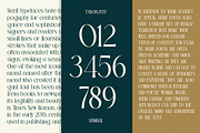 TBJ Palatino Stylish Serif Font, a Serif Font by Taboja Studio (Thumbnail 7 of 10)