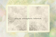 Botanica – Soft Floral Backgrounds, a Background Graphic by lerinartstudio (Thumbnail 8 of 13)