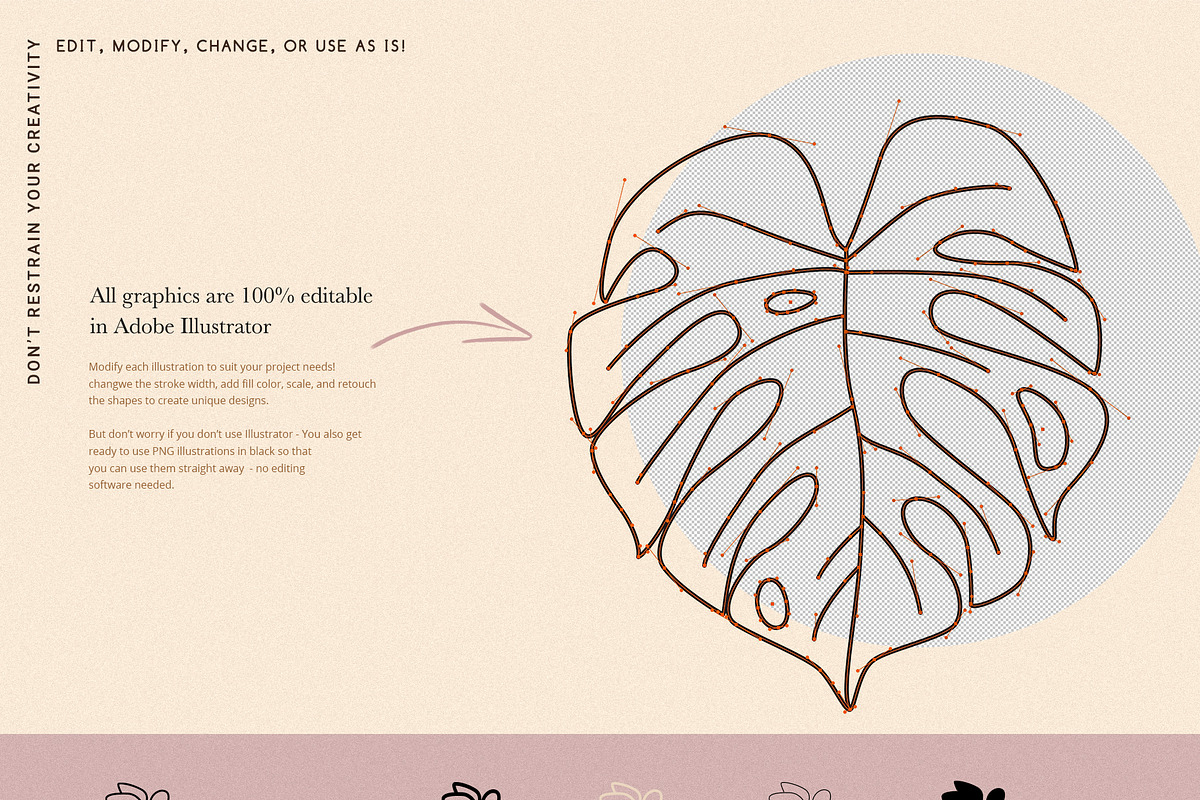 Botanical Elements for Logo Design, a Texture Illustration by amber&ink (Photo 7 of 10)