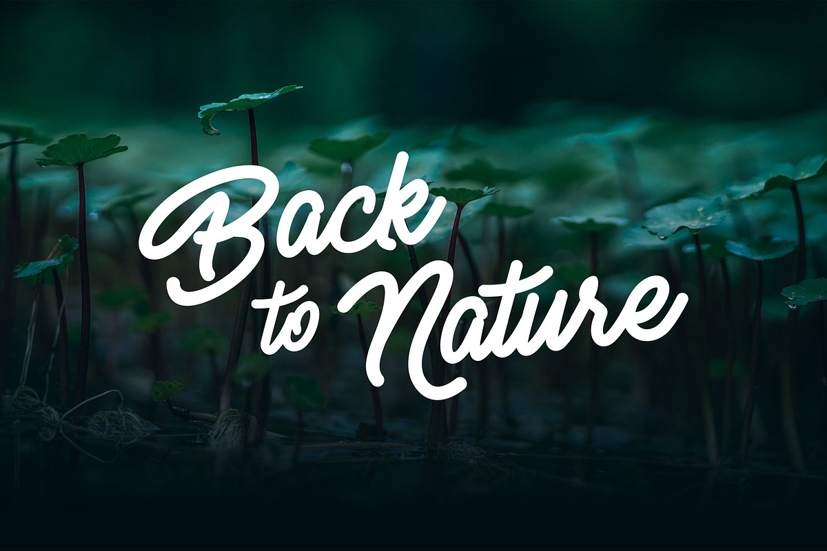 Senella Script Font preview 7