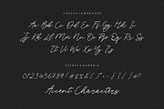 Blackswan - Monoline Signature Font, a Script Font by Letterative Studio (Thumbnail 6 of 7)