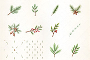 Winter Pine Branch Pattern Clipart, an Illustration by CrexoraLab (Thumbnail 2 of 5)
