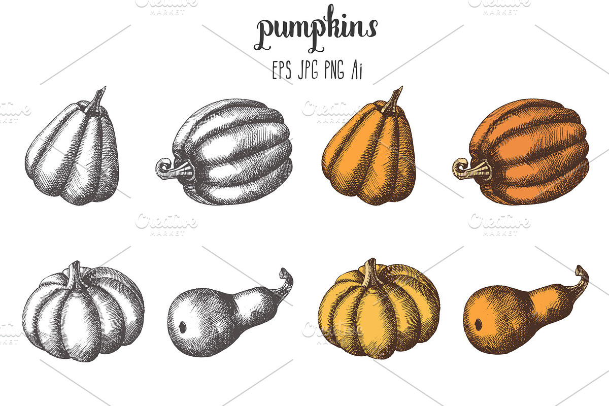 Pumpkins and Leaves Set, an Illustration by Tabiti (Photo 2 of 14)