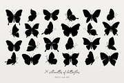Butterflies vector collection, a Decorative Illustration by Glass Cat Design (Thumbnail 9 of 10)