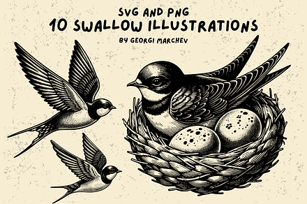 Vintage Swallow Drawings Bundle SVG, an Animal Illustration by Ray Crimson