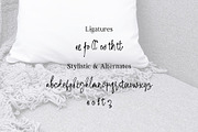 Fancy Gel - Versatile Handwritten, a Handwritten Font by Attractype (Thumbnail 9 of 9)