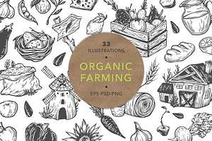 Organic Farming. Fresh market.