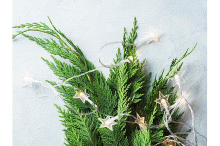 Green fir tree branches with star, a Holiday Photo by Lifemorning