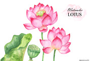 Watercolor lotus flower clipart, an Illustration by OlDm_Shop (Thumbnail 6 of 10)
