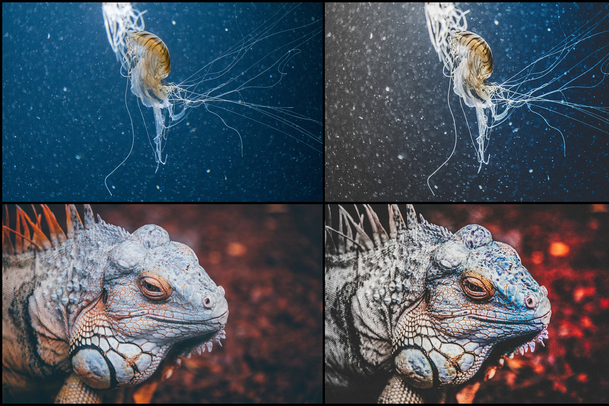 7000+ Professional Lightroom Presets, a Layer Style Add-On by Eldamar Studio (Photo 26 of 33)