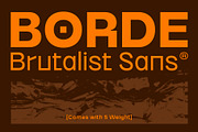 Borde - Brutalist Sans, a Sans Serif Font by The Native Saint Club (Thumbnail 1 of 14)