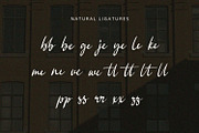 Bellina - Handwritten Font, a Handwritten Font by Alpaprana (Thumbnail 4 of 10)