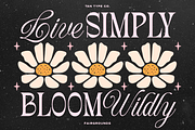 TAN - FAIRGROUNDS, a Serif Font by TanType (Thumbnail 5 of 7)
