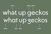 Thatura Geometric Sans Font, a Sans Serif Font by That That Creative (Thumbnail 4 of 19)