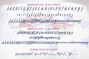 Srikonitta Script + Free Vectors, a Script Font by Aldedesign (Thumbnail 11 of 11)