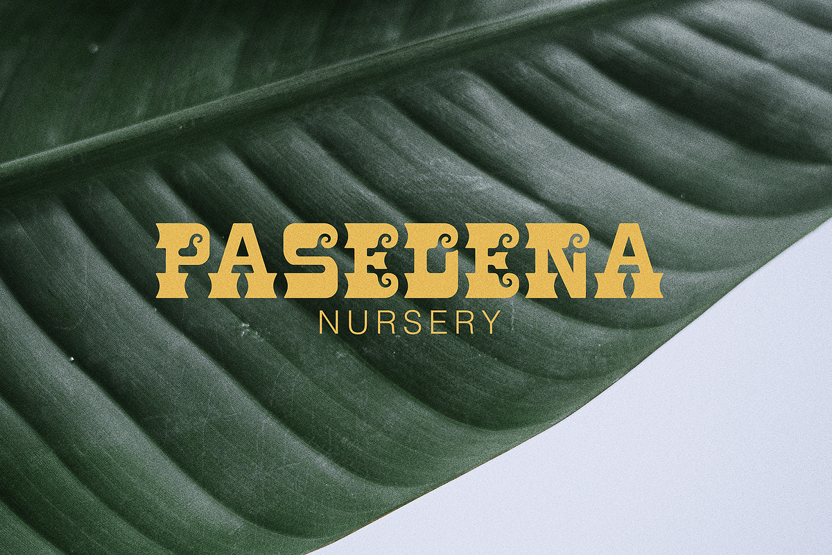 La Luna - Display Typeface, a Slab Serif Font by ZimlichMediaDesign (Photo 4 of 5)