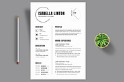 Resume Layout, a Resume Template by ContestDesign (Thumbnail 1 of 3)
