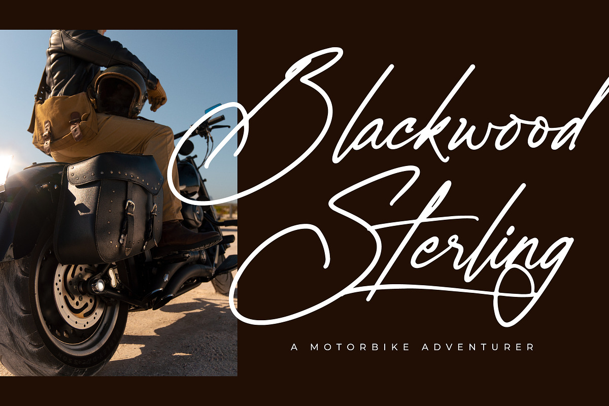 Salvatores, a Script Font by Integritype Studio (Photo 4 of 15)