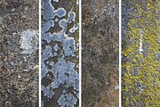 Stone Texture Pack, a Texture Graphic by Ben Burford Fonts (Thumbnail 2 of 3)
