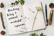 Spelling Night, a Script Font by Creamy Script (Thumbnail 3 of 5)