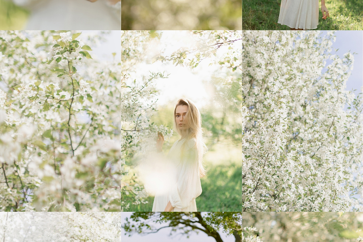 230 Sage Green Stock Images Bundle, a Beauty & Fashion Photo by Allure Art (Photo 28 of 33)