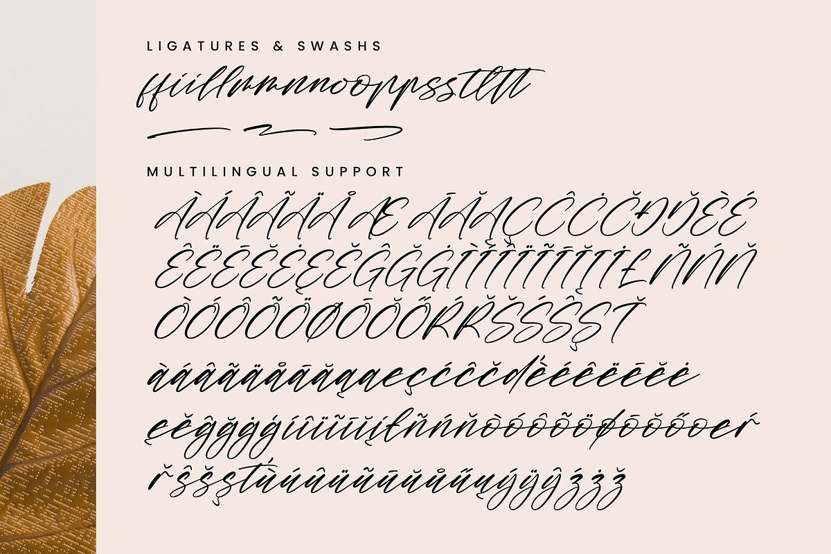 Midnight Horizon, a Script Font by Integritype Studio (Photo 14 of 15)