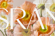 Roden, a Sans Serif Font by Larin Type Co. (Thumbnail 2 of 15)