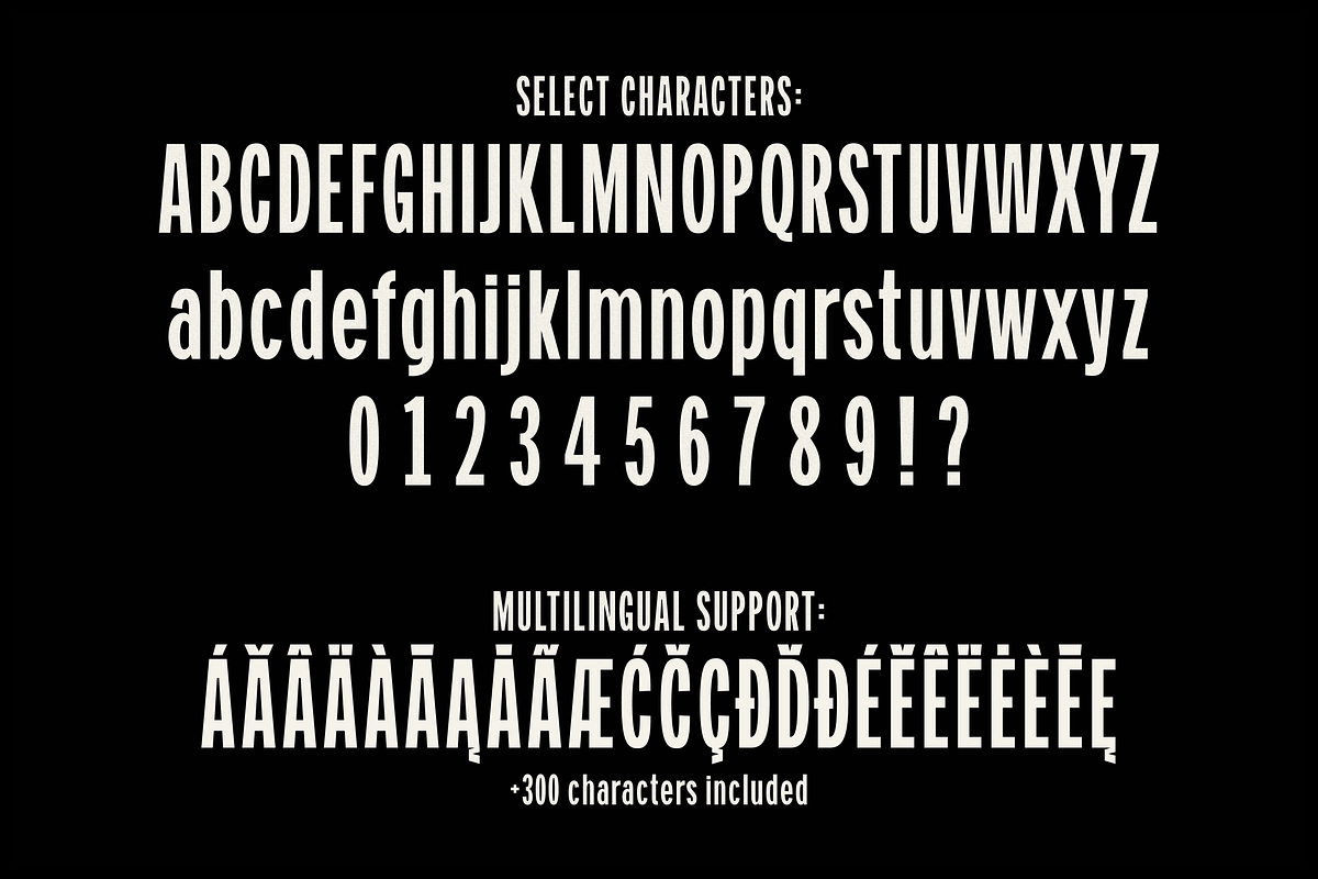 Franklin Ave. - Gothic Sans Serif, a Sans Serif Font by Great Scott! (Photo 5 of 5)