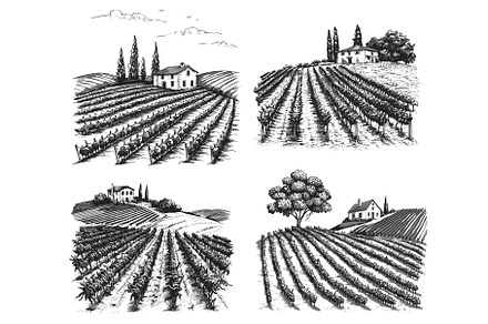 Vineyard landscapes sketch set. Hand, an Animal Illustration by Stock-Smart-Start