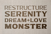 Bonega, a Serif Font by Locomotype (Thumbnail 4 of 8)