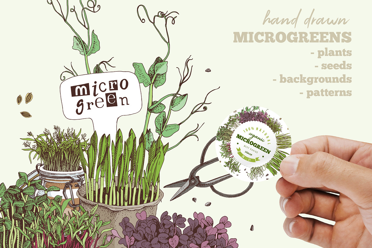 Natural food BUNDLE, a Food Illustration by handsketched (Photo 13 of 26)