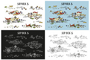 Spices. Doodle set, a Food Illustration by WINS Doodle shop (Thumbnail 4 of 5)